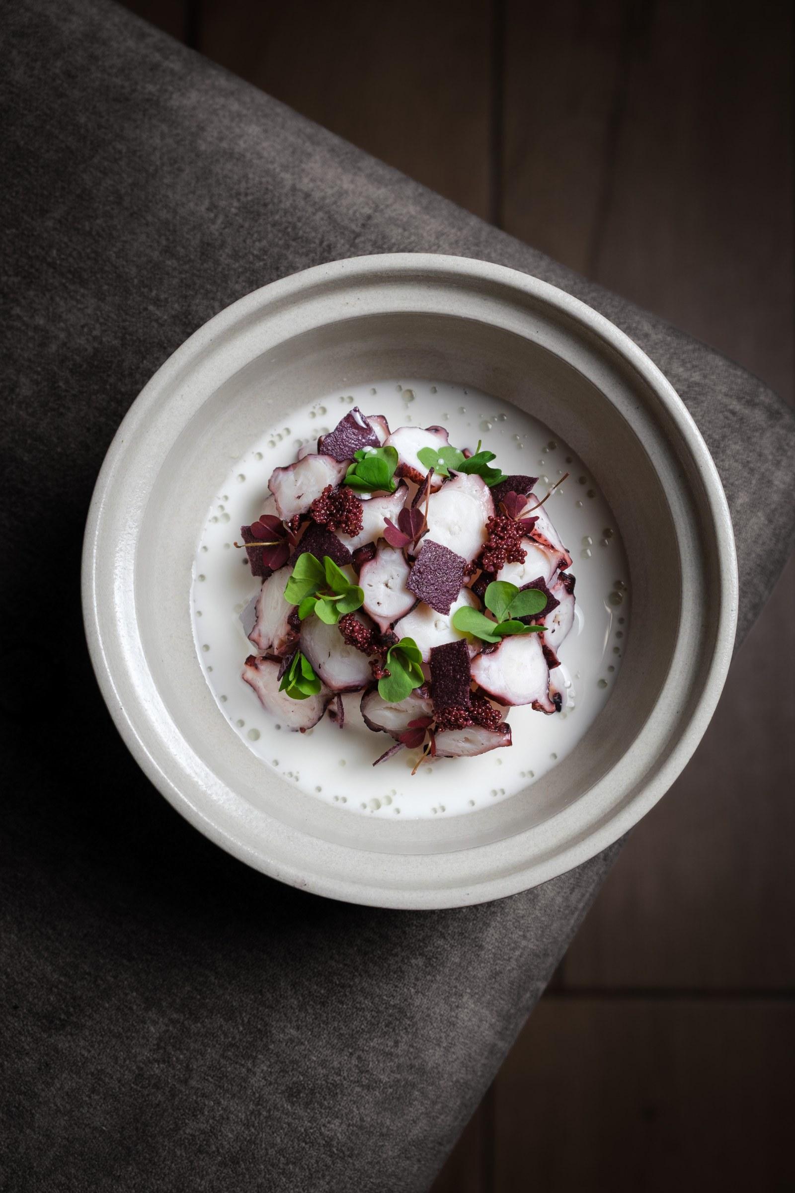 Pulpo con betarraga y hierbas sobre crema blanca