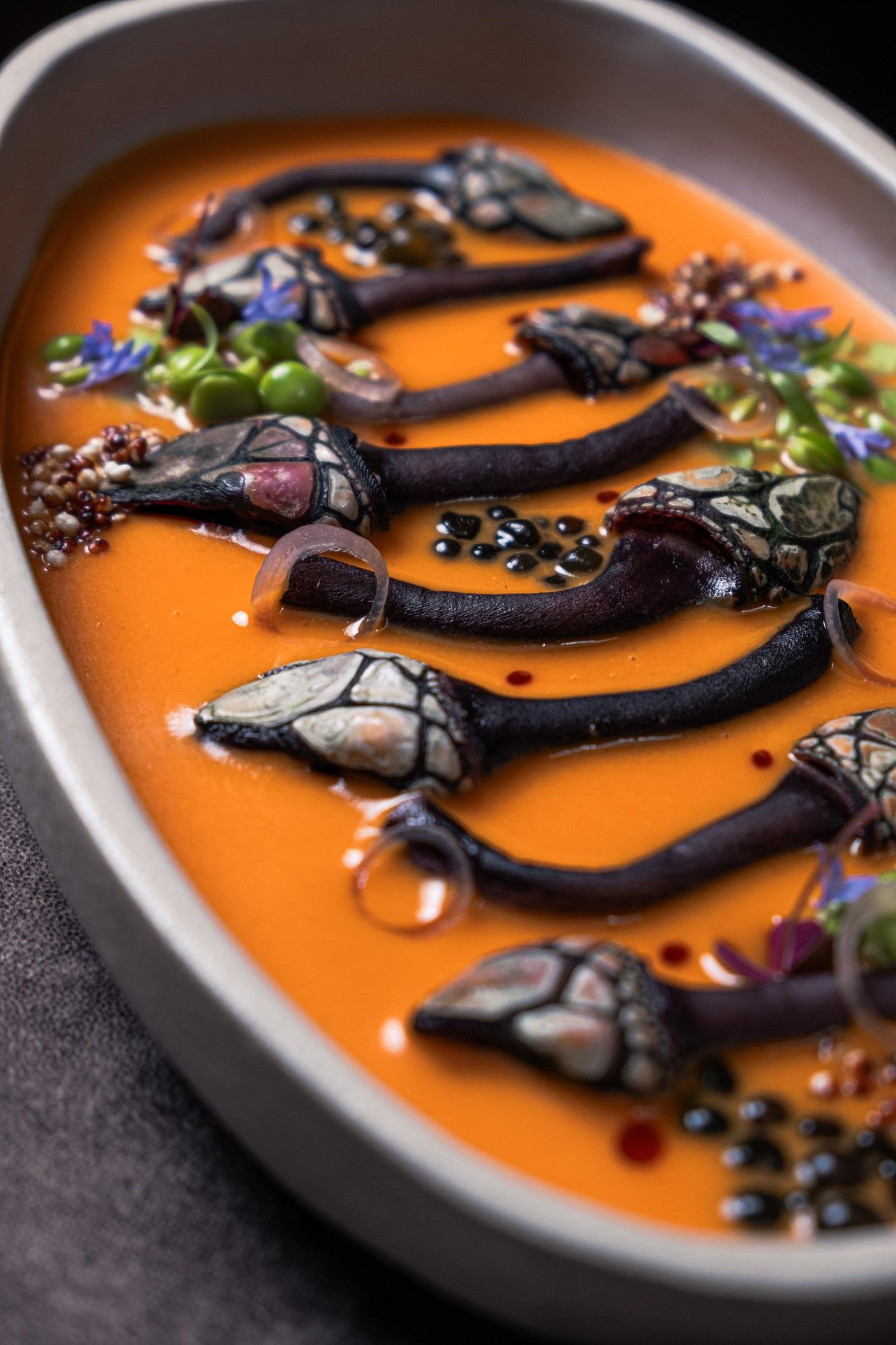Tiradito de percebes sobre salsa anaranjada